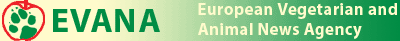 Banner wide